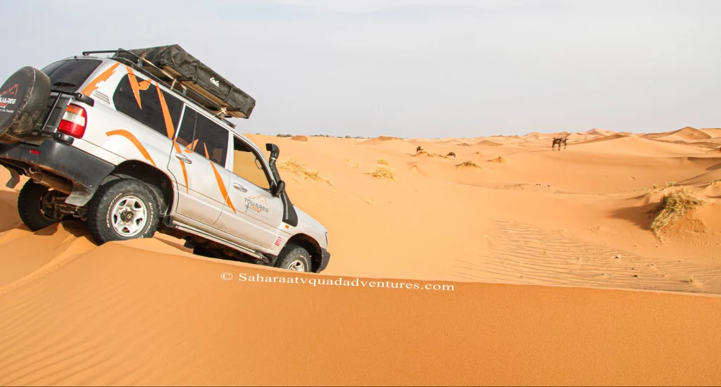 3 Days Wild Desert Quad Biking