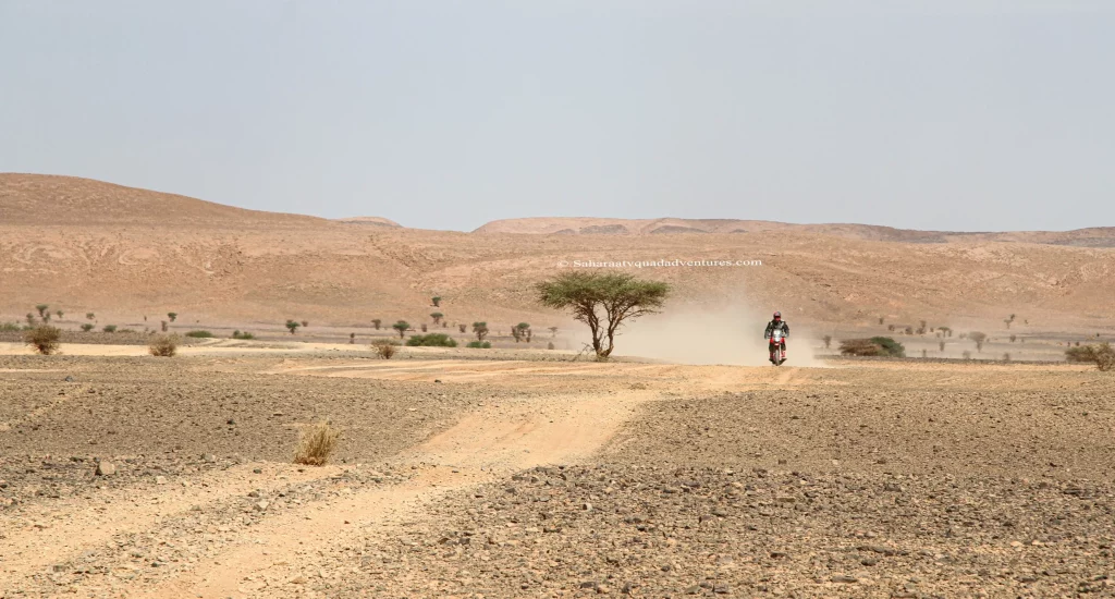 3 Days Wild Desert Quad Biking