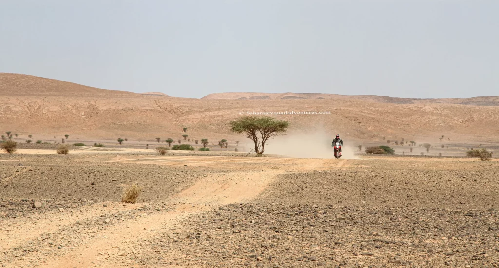 2 hours Sahara Quad Biking