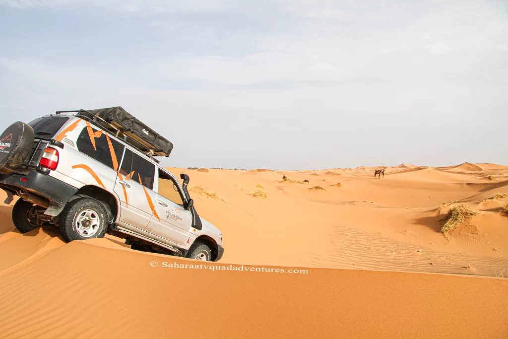 Merzouga Dunes Quad