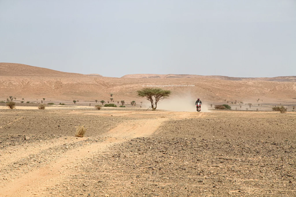 Merzouga Dunes Quad