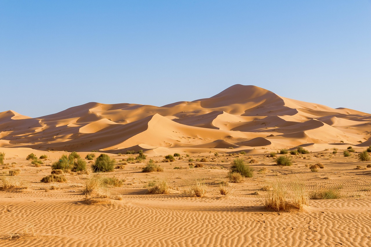 Merzouga desert