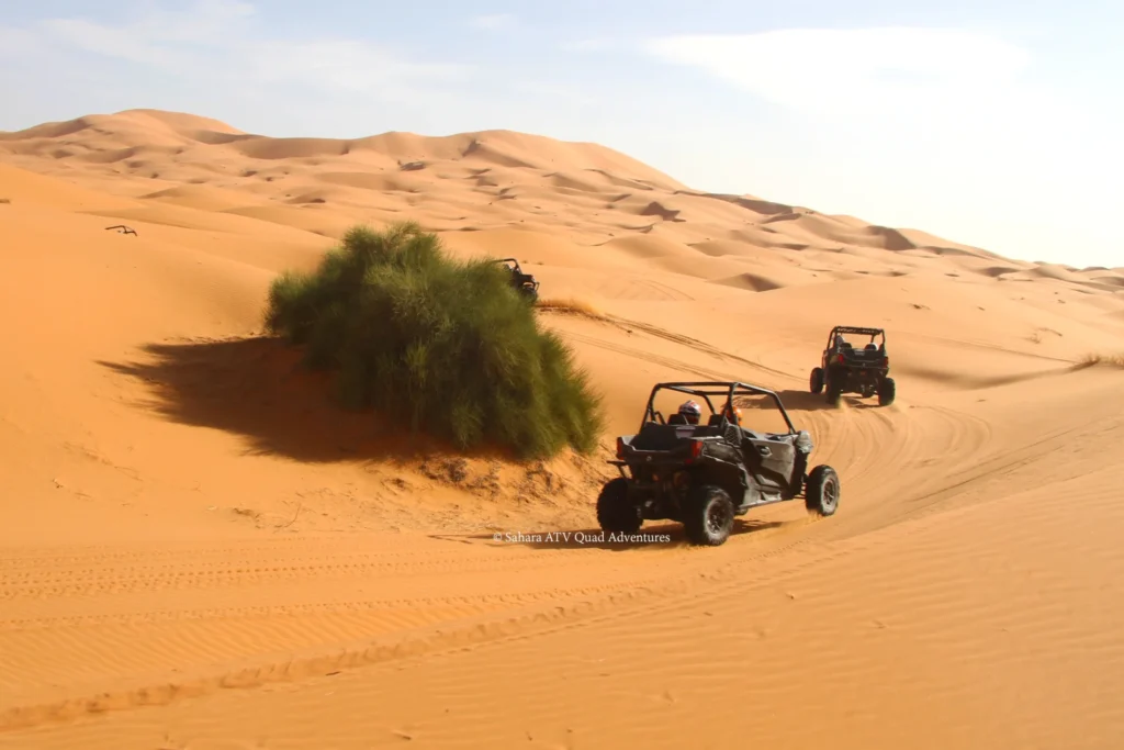 Desert Dune Buggy